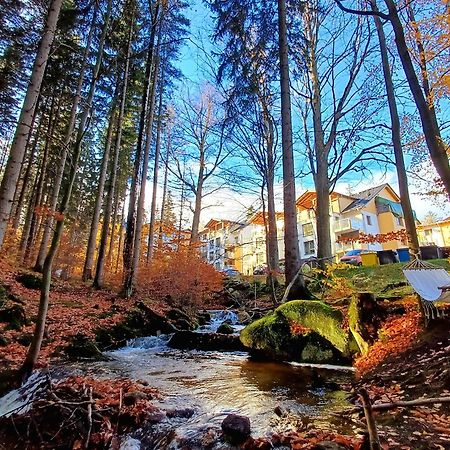 Apartamenty Nad Zlotym Potokiem Шклярска-Поремба Экстерьер фото